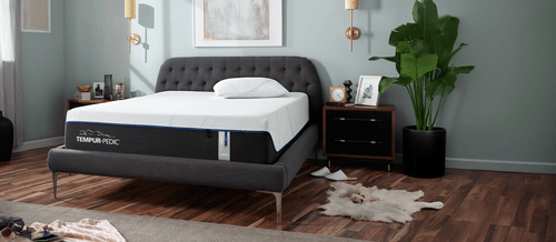 Adapt Closeout mattress in decorated room